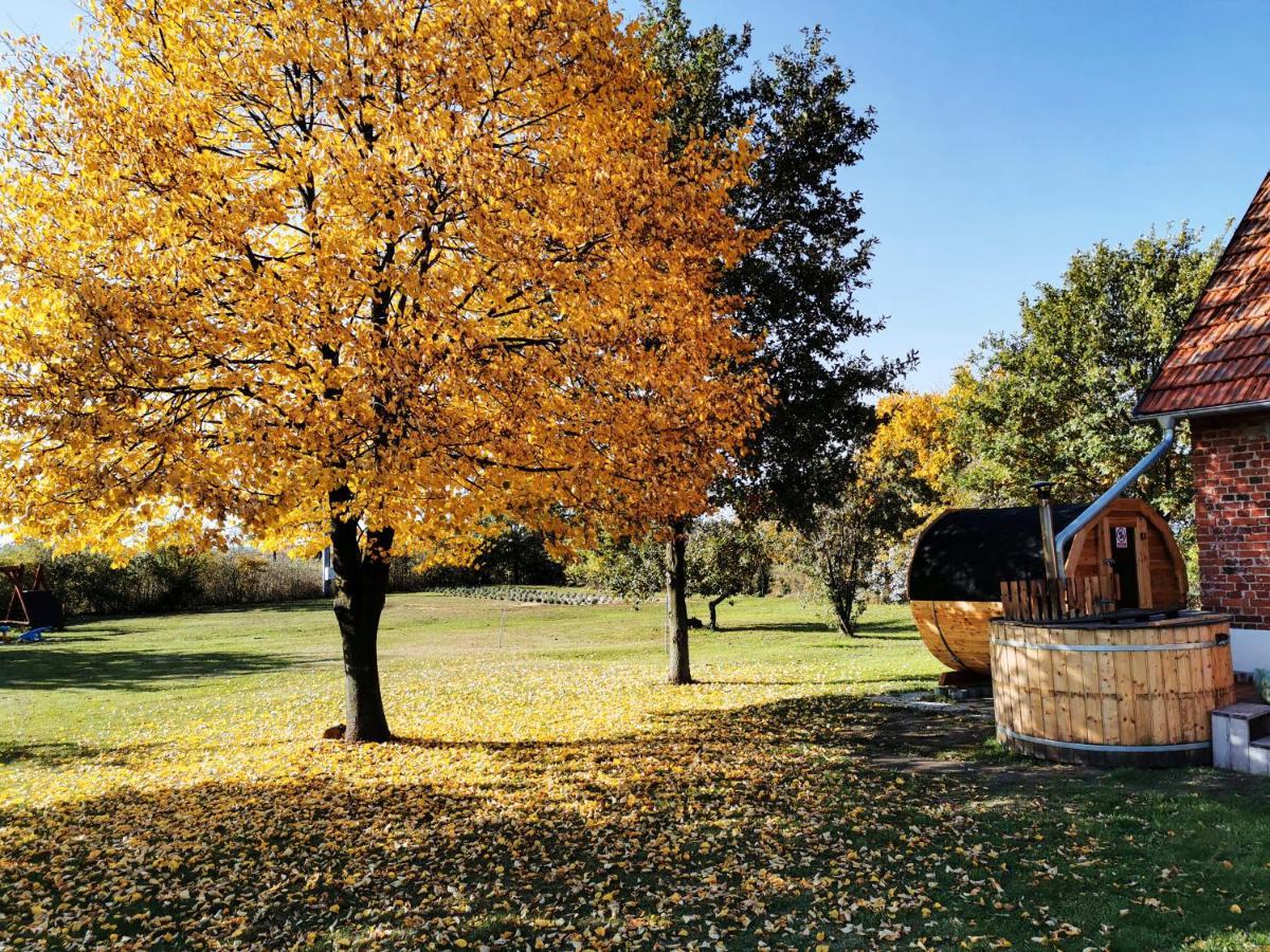 Agroturystyka Ginkgo Sulislaw (Ostrow Wielkopolski) Exterior foto