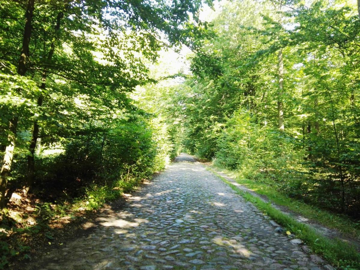 Agroturystyka Ginkgo Sulislaw (Ostrow Wielkopolski) Exterior foto